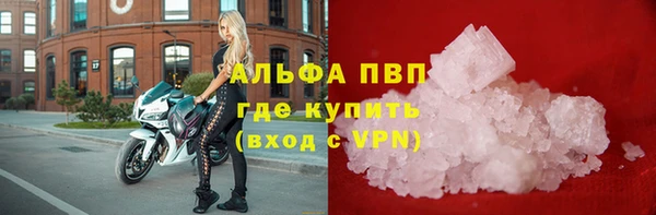 молекула духа Алексин