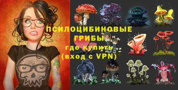 твердый Няндома