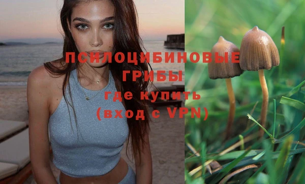 эйфоретик Алзамай
