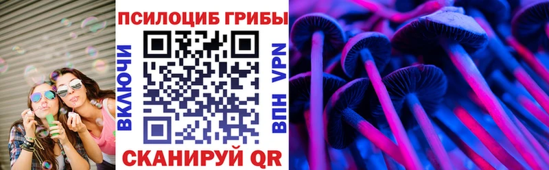hydra ссылка  Тосно  Псилоцибиновые грибы Cubensis 